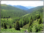 foto Malga Val Cion